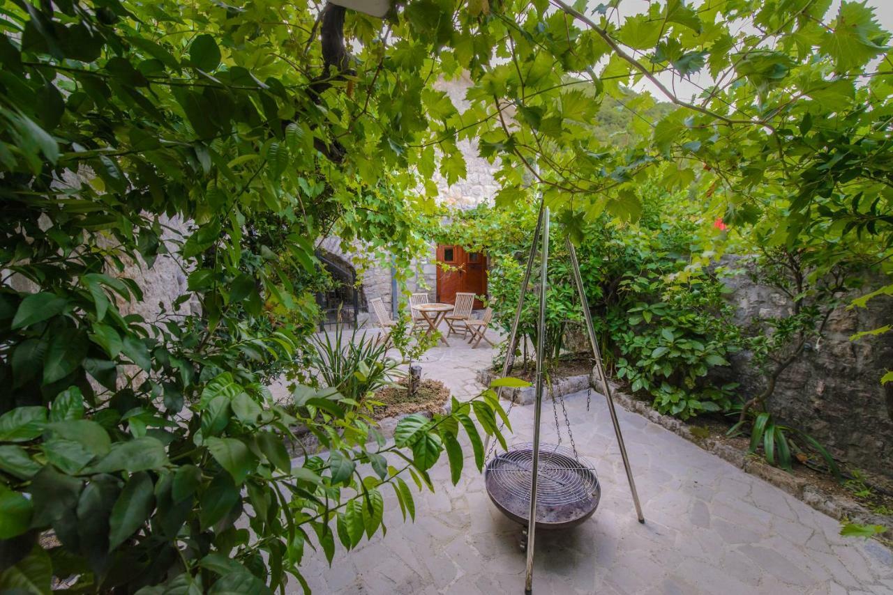 Mediteraneo Villa Kaluderovici Εξωτερικό φωτογραφία